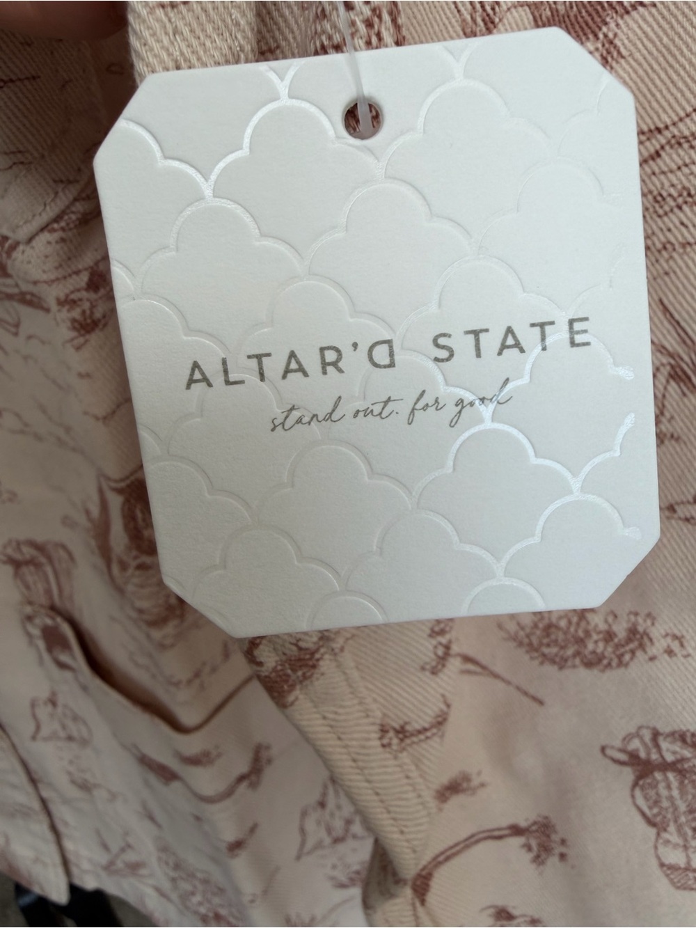Altar'd State Beige Scenic-Print Button Jacket - Picture 8 of 10